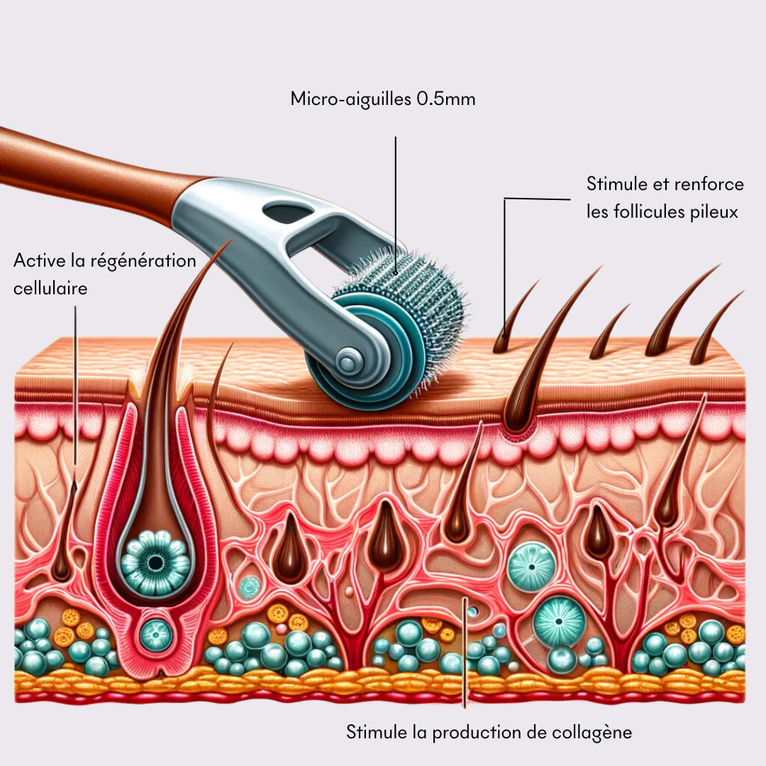 Dermaroller | Boostez la Croissance et la Santé de Vos Cheveux