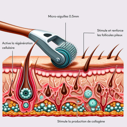 Dermaroller | Boostez la Croissance et la Santé de Vos Cheveux